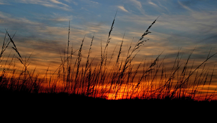 Prairie light