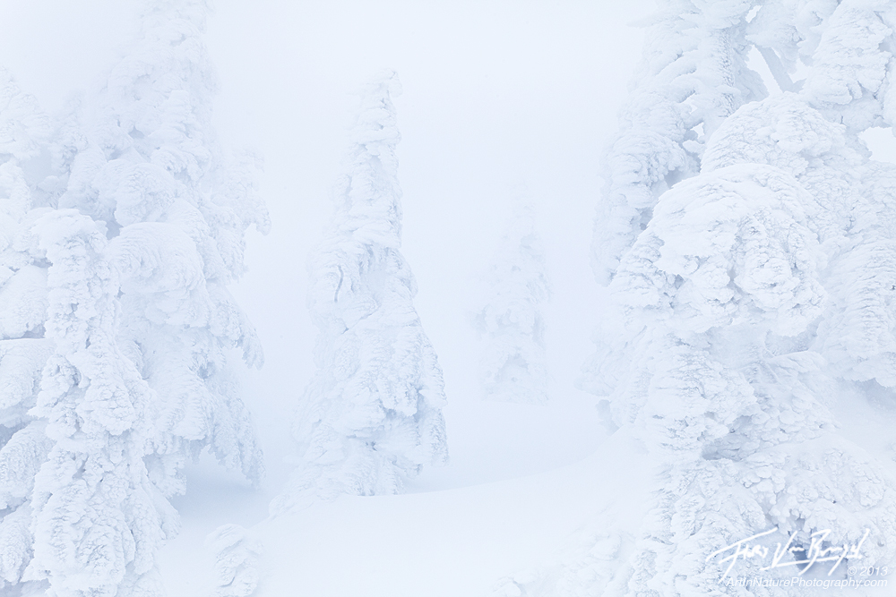 Mountain Ghosts