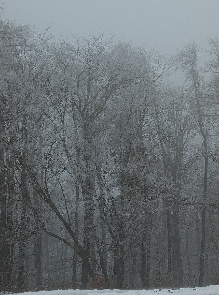 Winter Tales #1