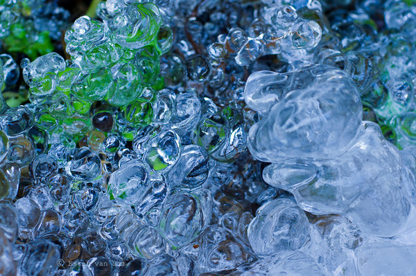 Frozen