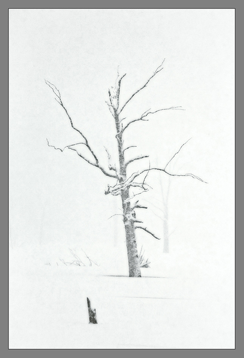 Snow Storm