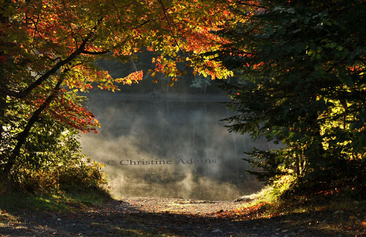 Boat Landing
