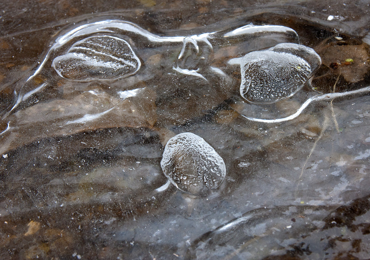 Face in the Ice