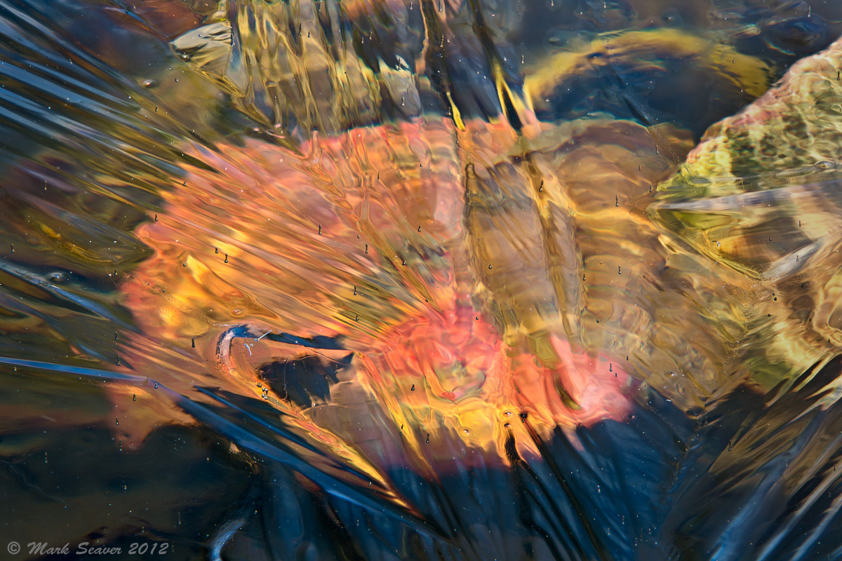 Through Thin Ice