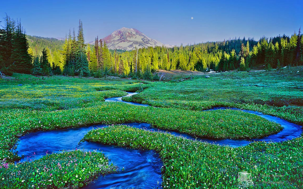 Serpentine Stream