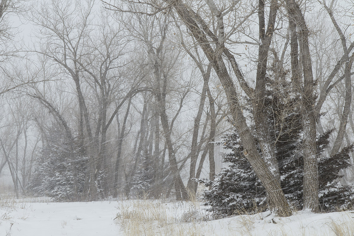 Snow