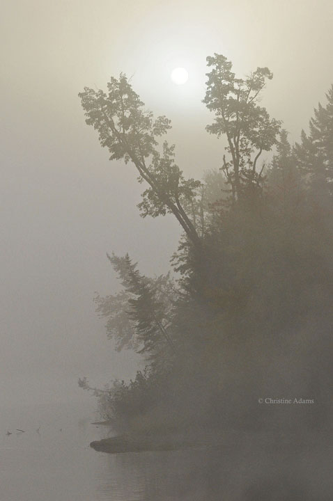 Sun and Fog
