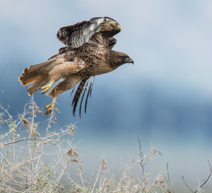 Taking Off !