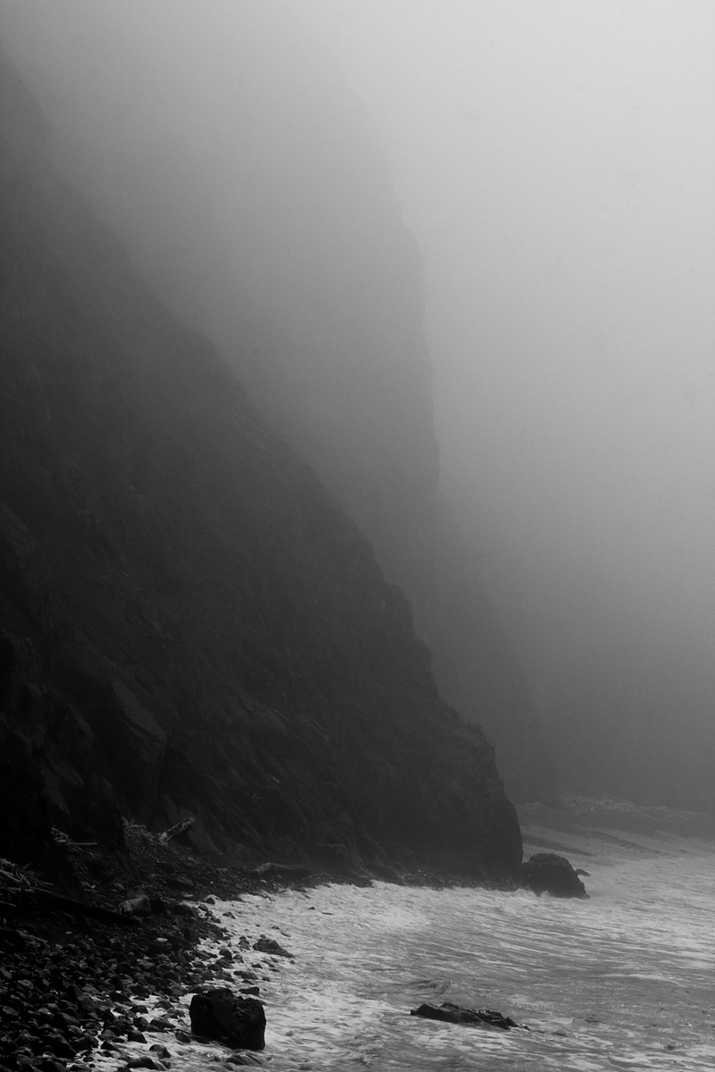 In the Fog