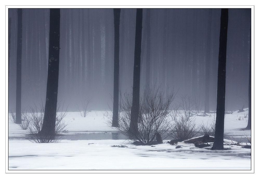 Quiet Misty Morning
