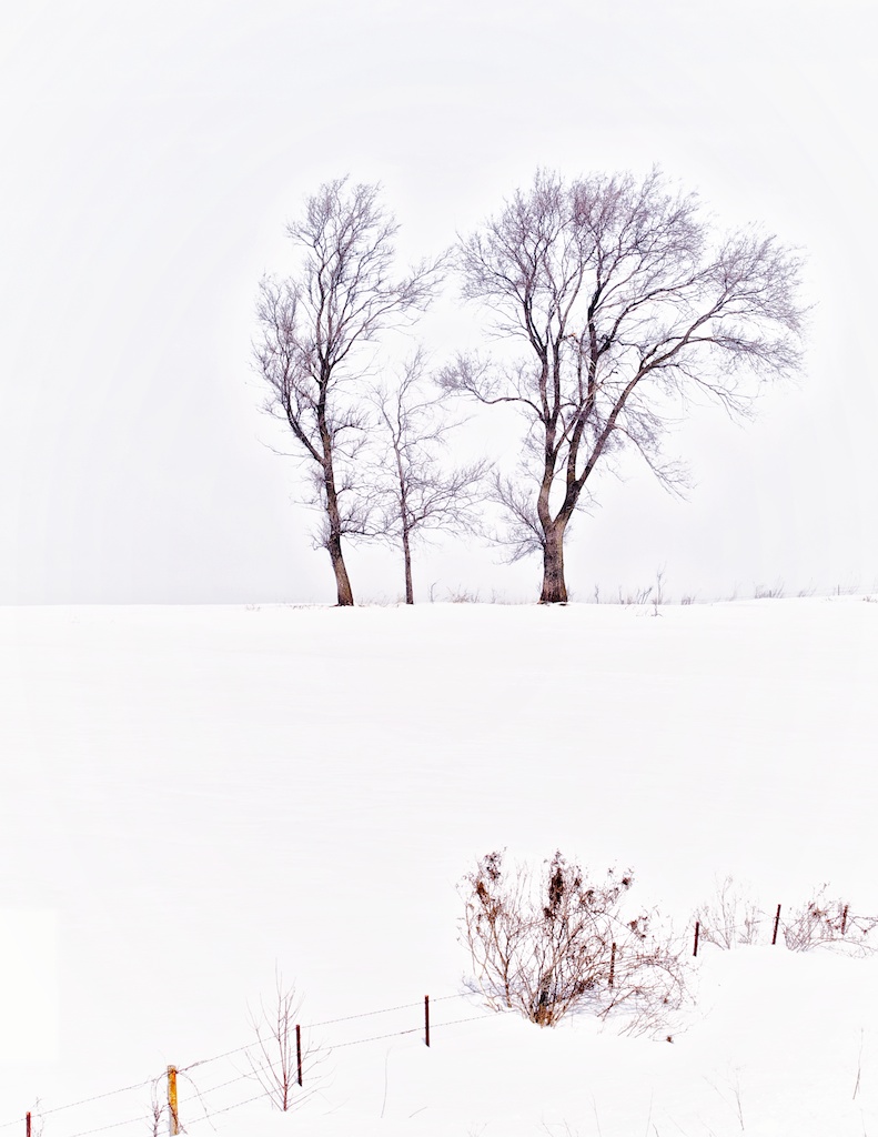 Still winter