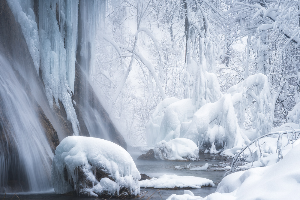 View into Winter