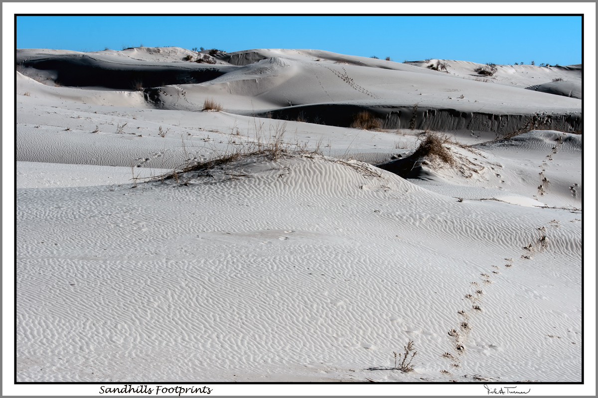 Sandhills Footprints
