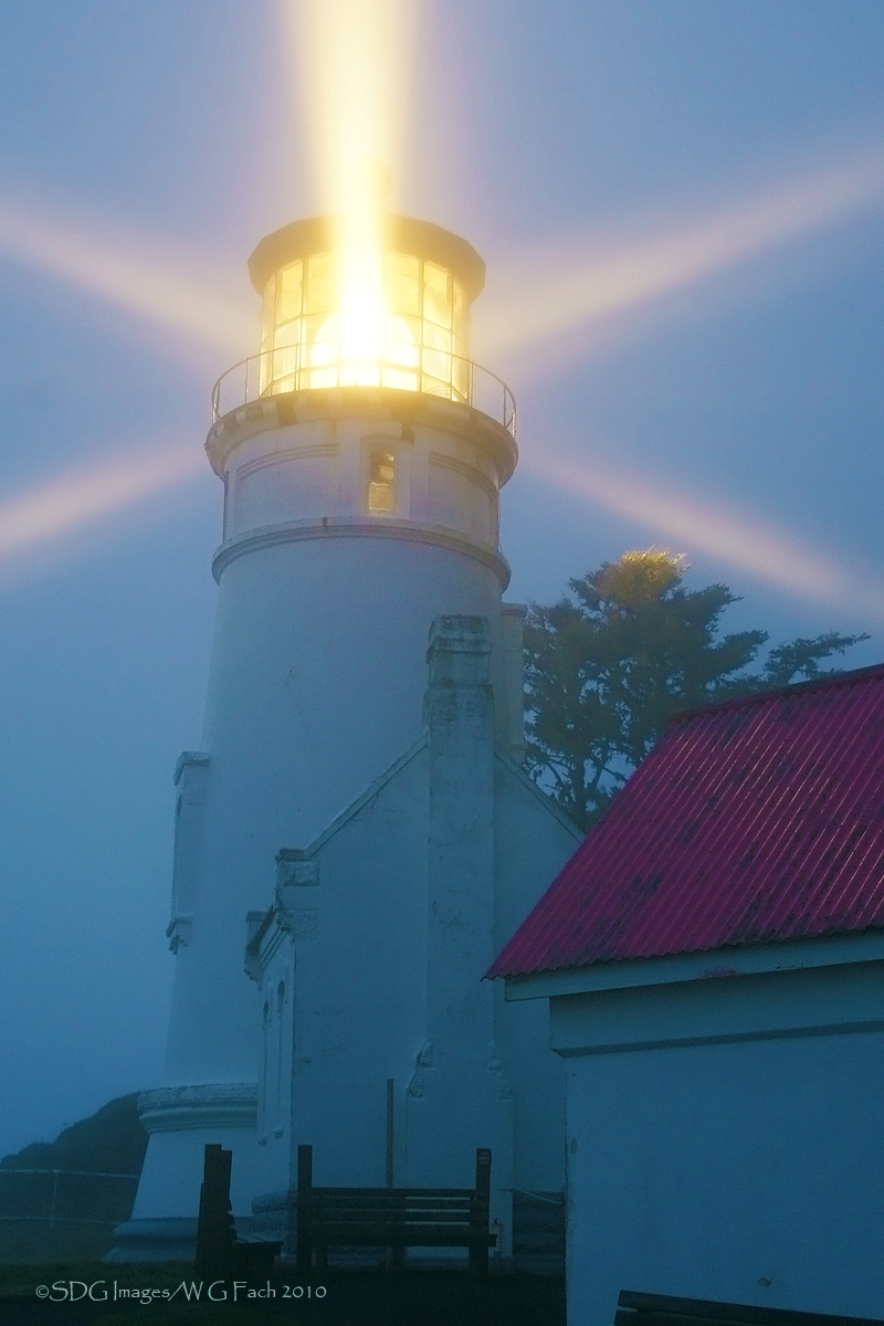 WC 575 The Sentinel