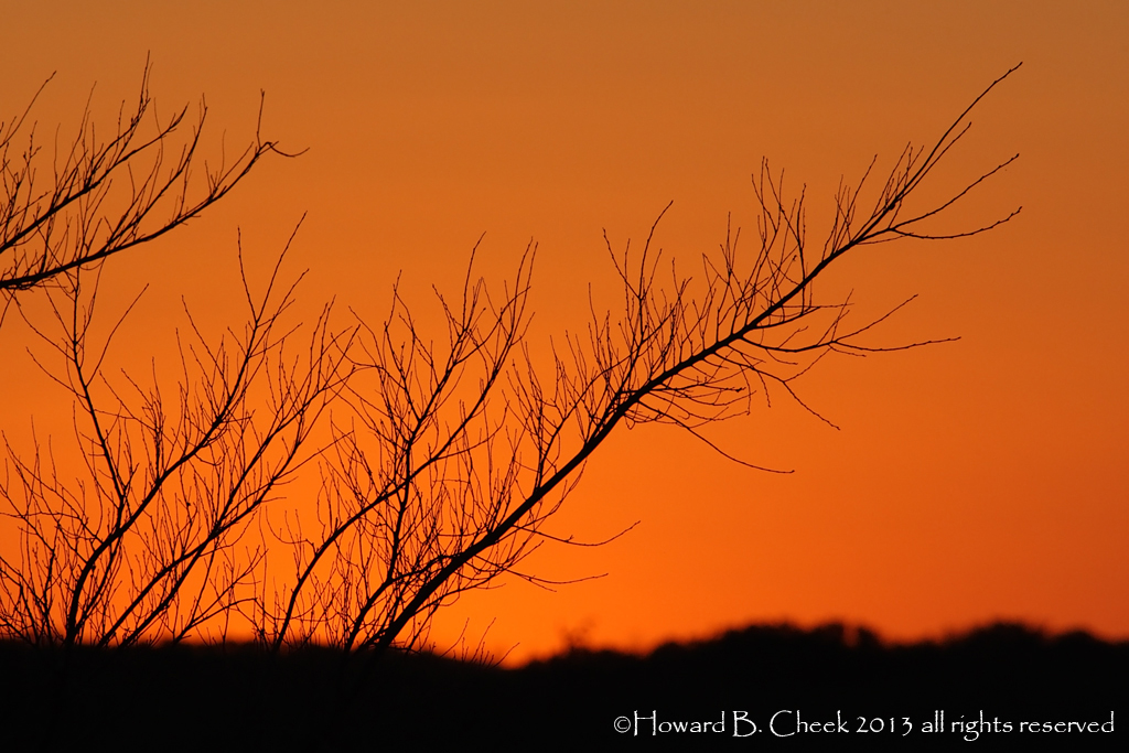 Sunset Glow