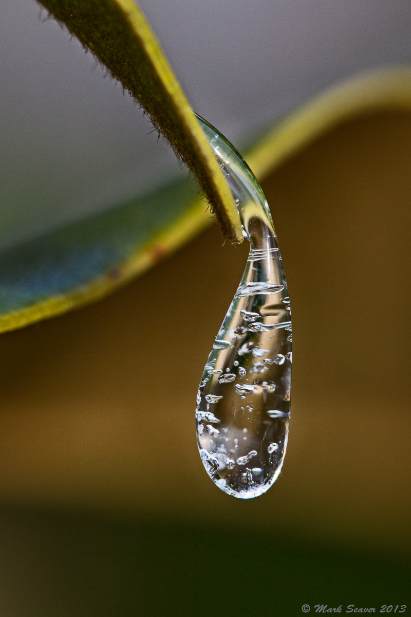 Frozen Teardrop