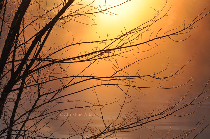 Frost and Sunrise