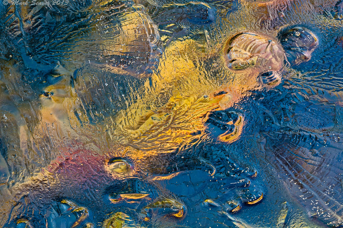 Dragon Under Ice