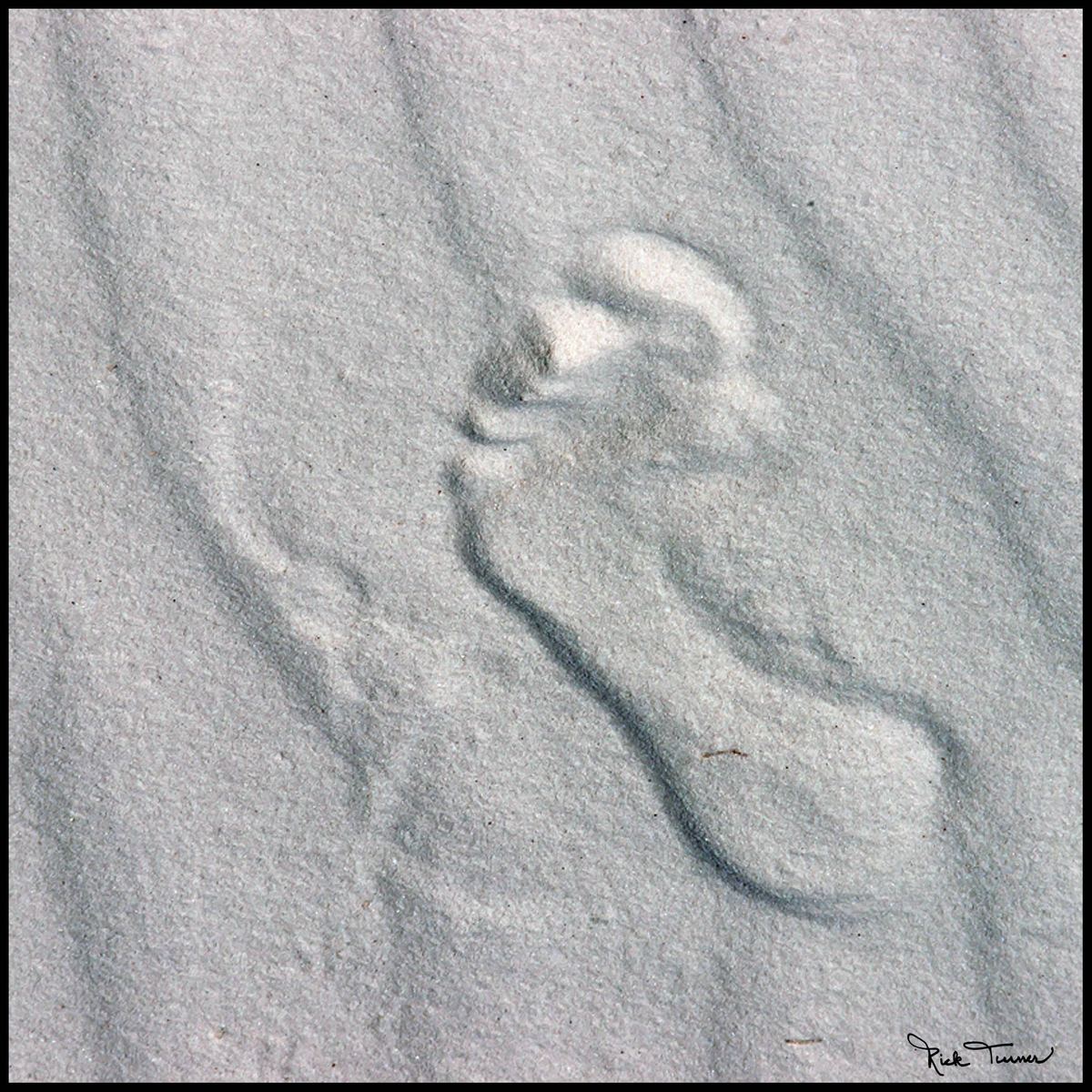 White Sands 