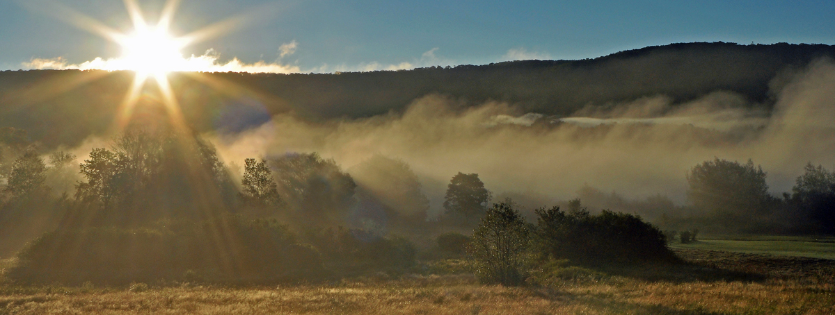 Smoky Sunrise