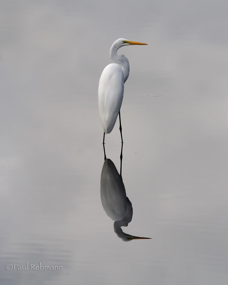 Argent Mirror