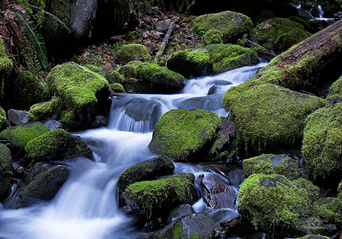 Gorgeous Gorge