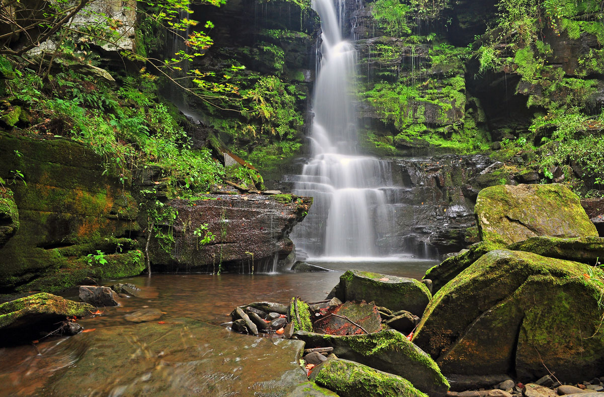 A Place of Beauty