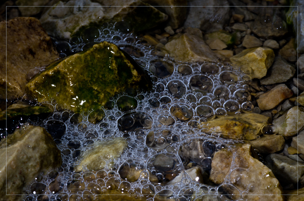 Bubbles WC#579