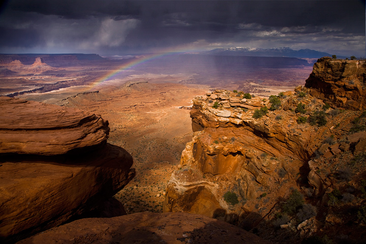 The Painted Desert
