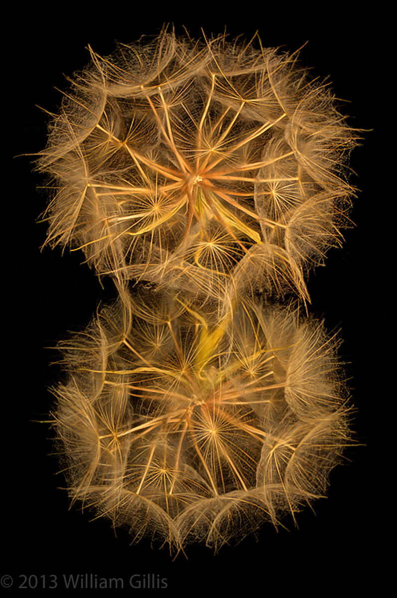 Puff II
