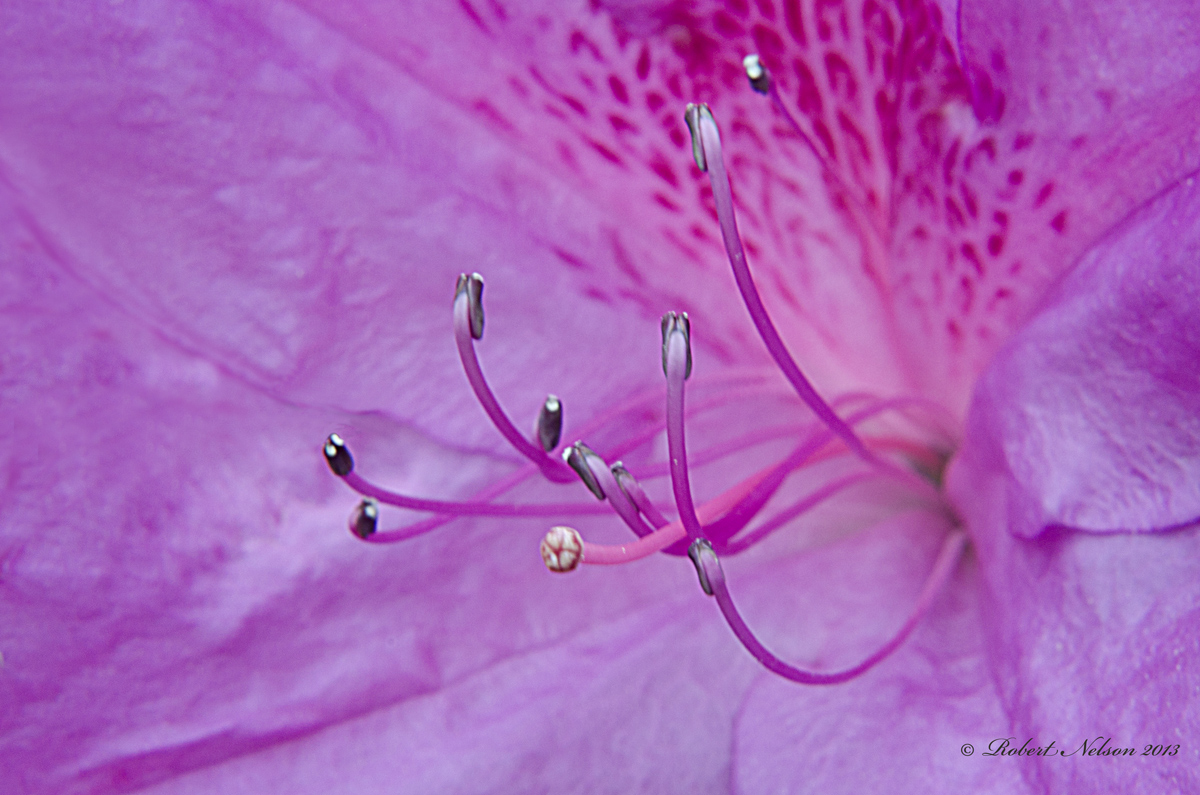 Reaching out