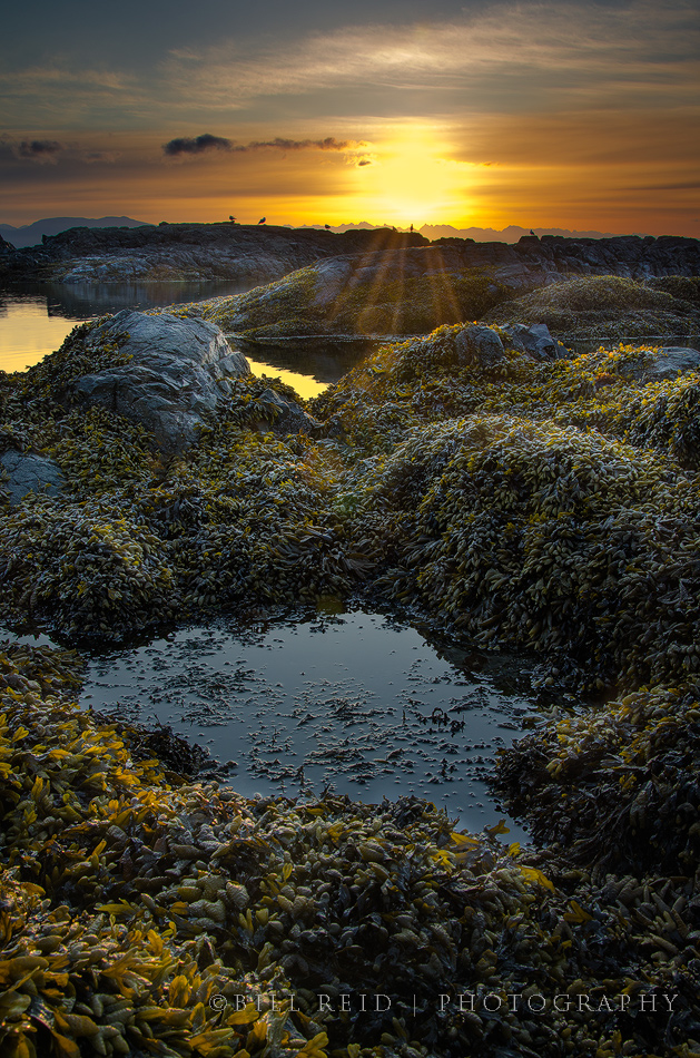 Neck Point Morning