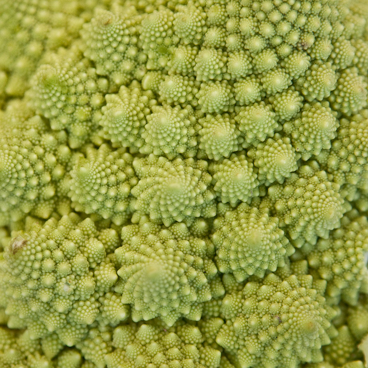 WC580 Romanesco...
