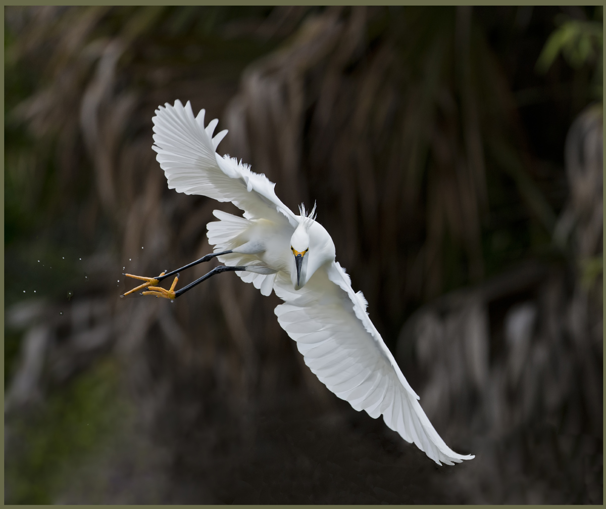 Aerial Acrobatics 