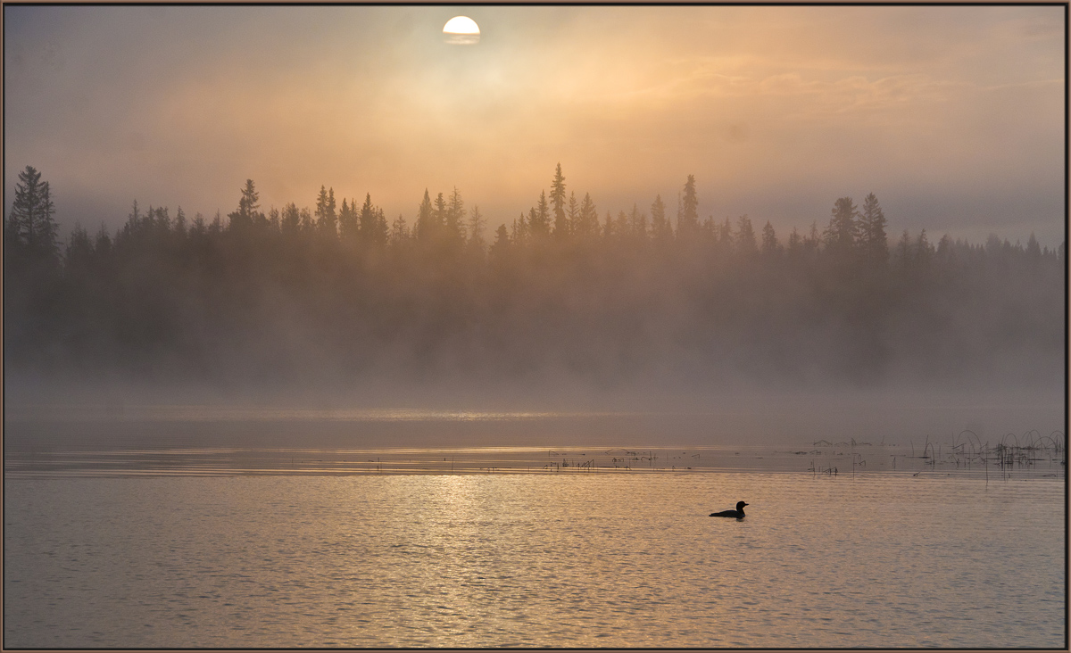 On Golden Pond