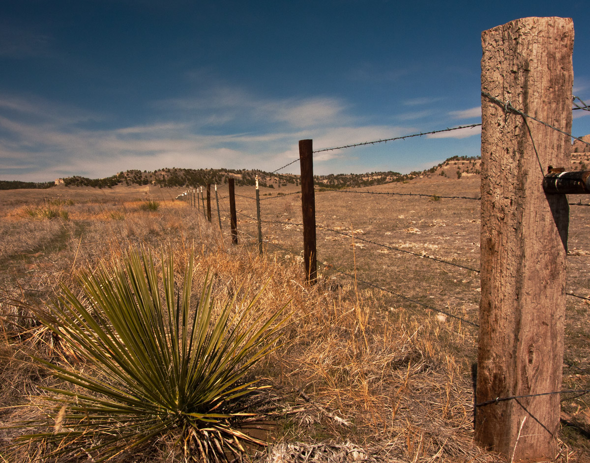 The Boundary Line