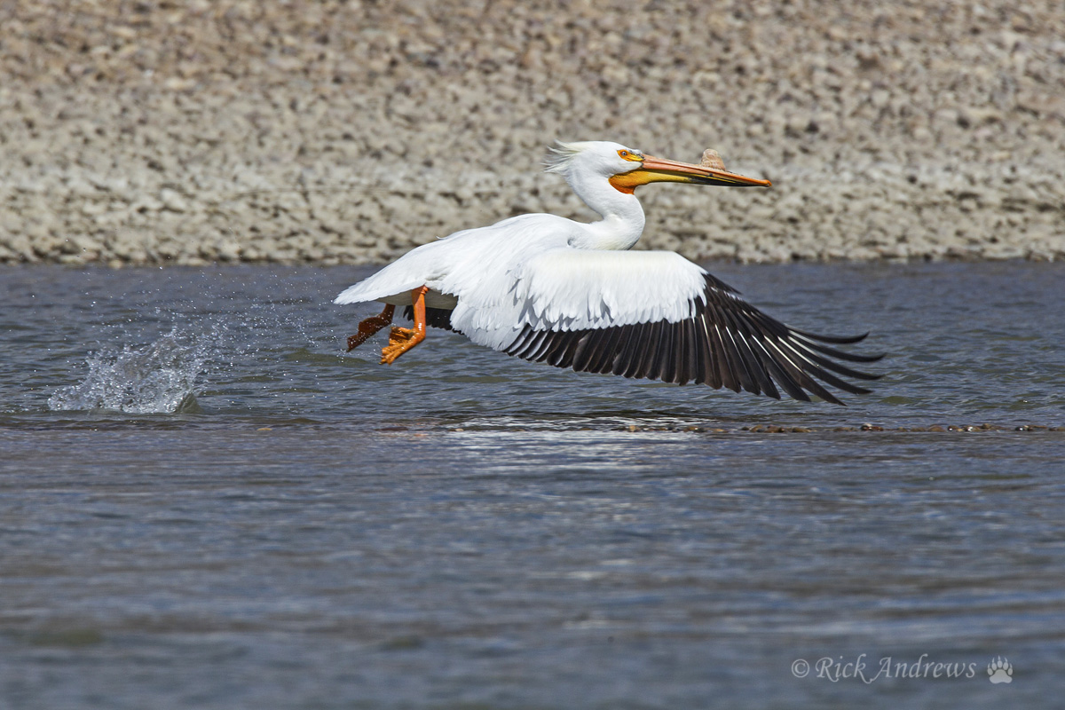 Lift Off