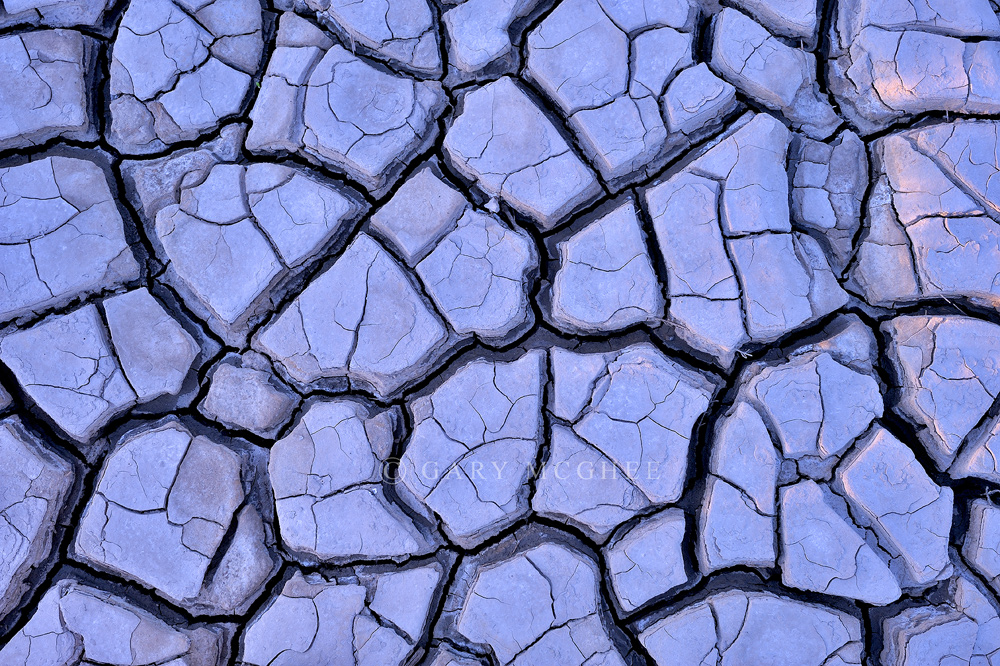 Sun Dried