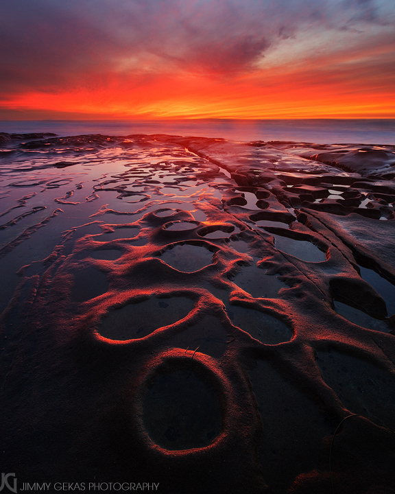 Red Tide (+edit)