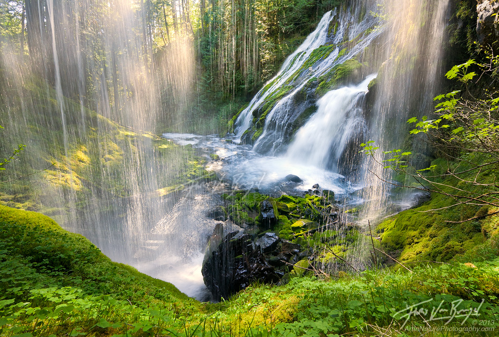Sun Showers