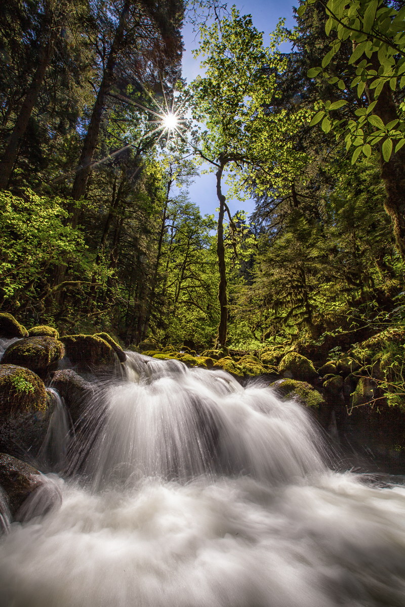 McCord Creek, Spring Sun