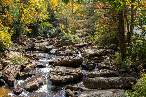 Fall Stream