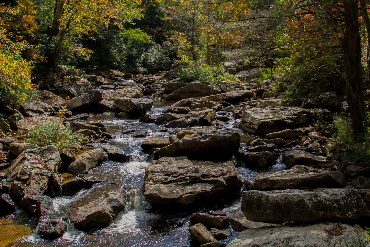 Repost - Fall Stream