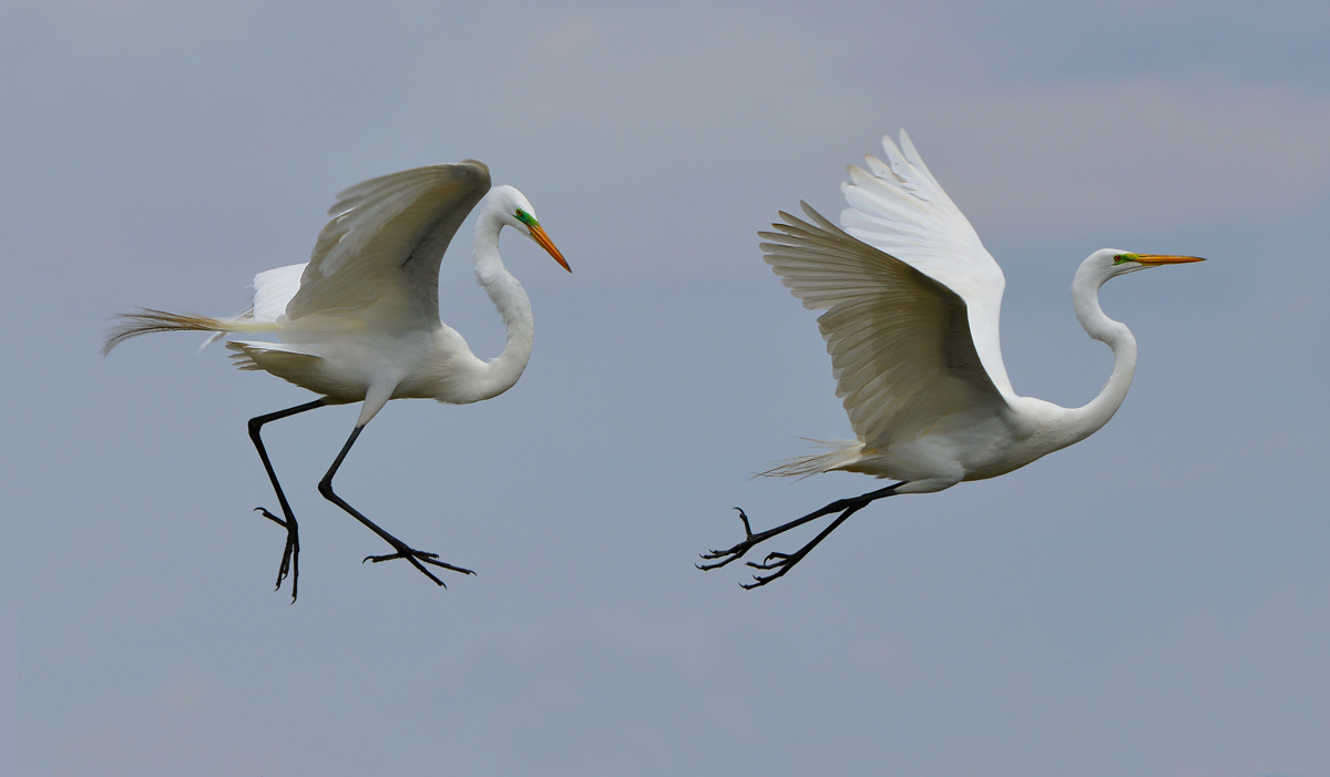 Beginning the Dance