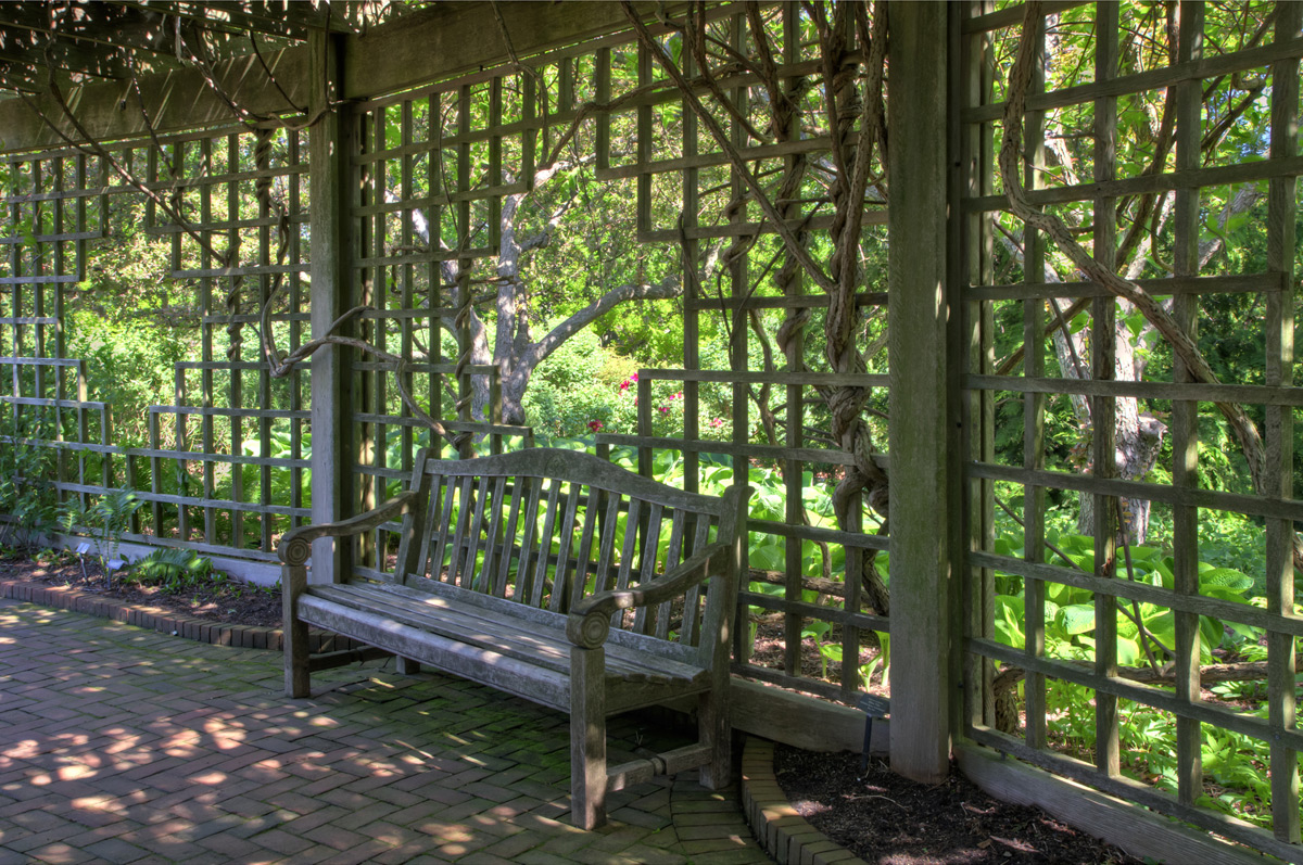 Rose Garden Pergola