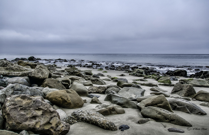 The Sea's Work