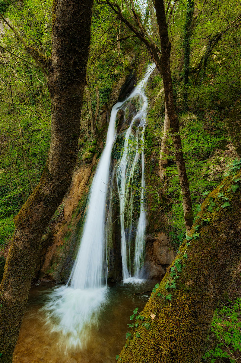 Mystic Falls