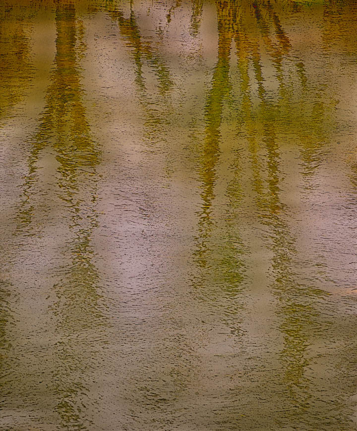 Tree Reflection