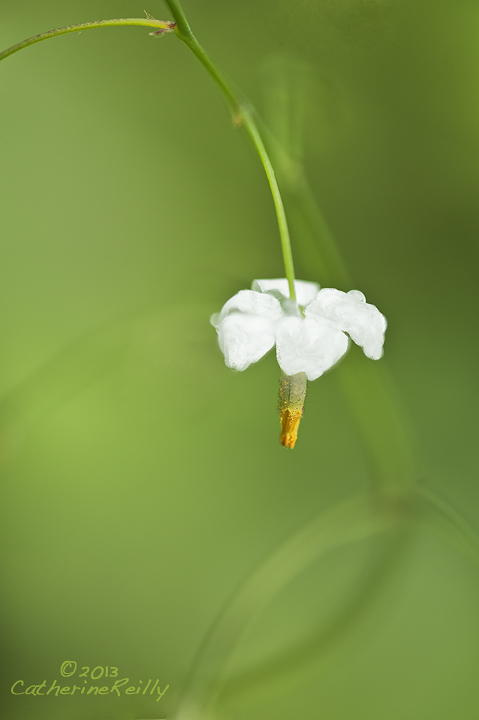 Inside-out 