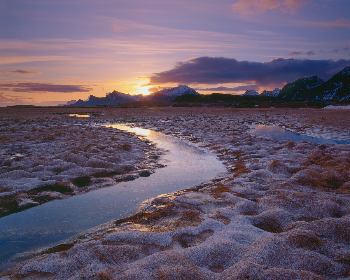 Frosted Sunrise
